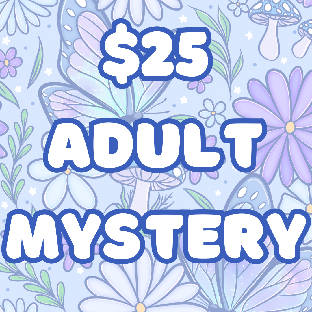$25 Mystery Adult