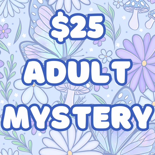 $25 Mystery Adult
